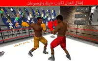 الملاكمة بطل 3D Screen Shot 0