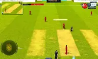 Cricket Ultimate Screen Shot 2
