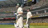 Cricket 2013 - New Game Screen Shot 4