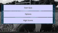 Big Football Quiz Free Screen Shot 0