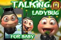 Talking Ladybug Screen Shot 0