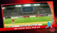 T20 Cricket 2016 Screen Shot 3