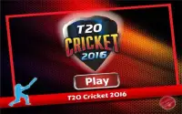 T20 Cricket 2016 Screen Shot 12