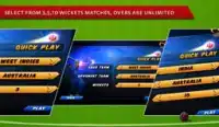 Cricket Challenge UBL Screen Shot 0