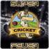 Super Cricket Fever