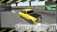Super Rally 3D Screen Shot 4