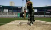 Cricket Real Maniac Screen Shot 1