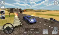Real Driving Simulator Screen Shot 4