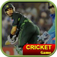 Cricket World Cup Game IndoPak