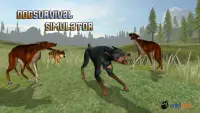 Dog Survival Simulator Screen Shot 7