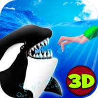 Angry Killer Whale Orca Attack