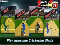 BDU - Cricket World Cup 2015 Screen Shot 2