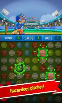 Cricket Rockstar : Multiplayer Screen Shot 1