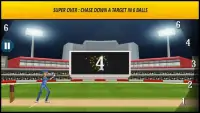 Cricket World Cup 2015 Free Screen Shot 2