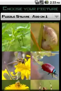 PuzzleSquare - Pack 1 Screen Shot 2