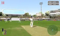 Cricket World Cup Game Screen Shot 2