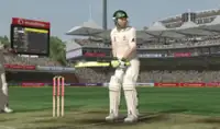Cricket 2013 - New Game Screen Shot 1