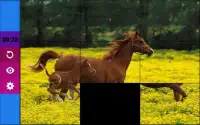 Horse Puzzle Games for Girls Screen Shot 1