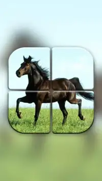 Horse Puzzle Games for Girls Screen Shot 7
