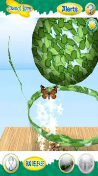 Live Butterfly Garden Screen Shot 4