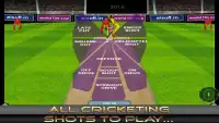 World T20 Cricket 2014 V2 Screen Shot 2