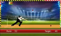 World T20 Cricket 2016 Screen Shot 2