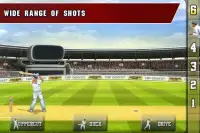 Tap Cricket 2013 Screen Shot 2