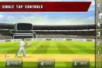 Tap Cricket 2013 Screen Shot 3