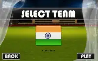 Cricket Worldcup Power Batting Screen Shot 1