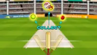 Cricket Bat Balance Screen Shot 0