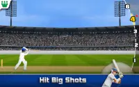 Ultimate Turbo Cricket Screen Shot 0