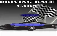 Race Car Driving Screen Shot 7