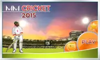 Cricket 2015 Screen Shot 4