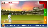 Cricket 2015 Screen Shot 0