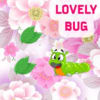Lovely Bug
