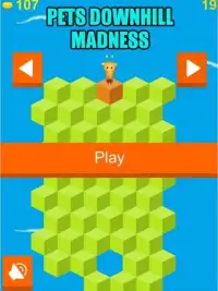 Pets Downhill Madness - Game Screen Shot 4