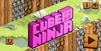 Cube Ninja Screen Shot 2