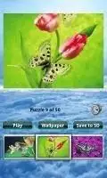Butterfly Puzzle Screen Shot 2
