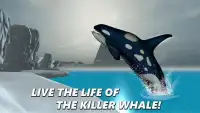 Killer Whale Simulator: Orca Screen Shot 2