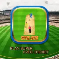 Super Over Cricket Screen Shot 7
