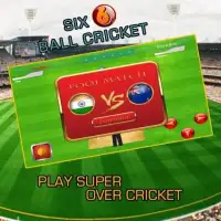 Super Over Cricket Screen Shot 0