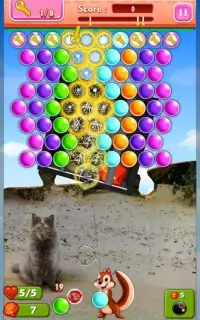 Hidden Bubbles: Cats Island Screen Shot 4