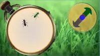 Ant Fight Screen Shot 3