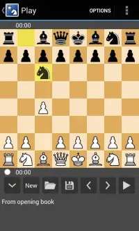 Chess- The Easiest One Screen Shot 0