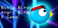 Ninja Birds Game : Old Arcade Games X - by Cobalt Play Games Screen Shot 3