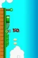 Eternal Mario World Screen Shot 1