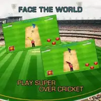 Super Over Cricket Screen Shot 3