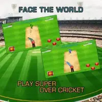 Super Over Cricket Screen Shot 2