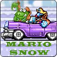 Mario Snow