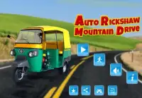 Auto Rickshaw Mountain Drive Screen Shot 5